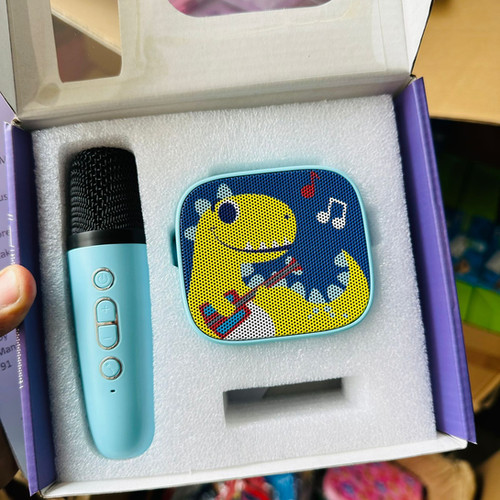 Portable karaoke and mic for kids birthday return gift birthday gift
